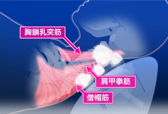  もみ玉の効果イメージ