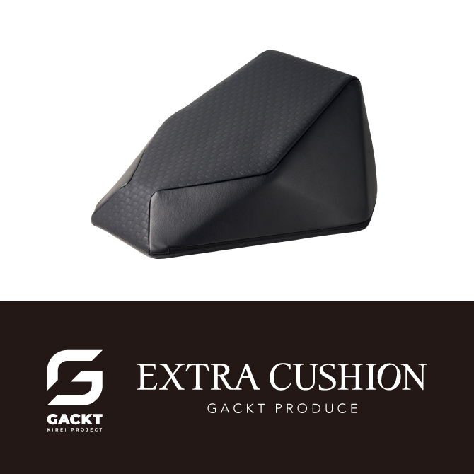 エクストラクッション