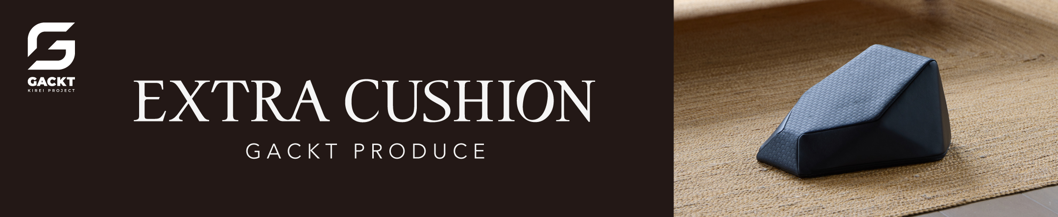 エクストラクッション